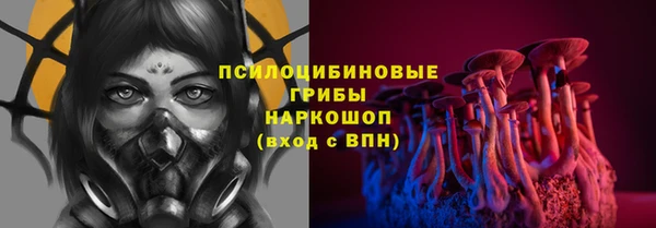 ГАЛЛЮЦИНОГЕННЫЕ ГРИБЫ Няндома