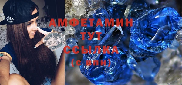 ГАЛЛЮЦИНОГЕННЫЕ ГРИБЫ Няндома