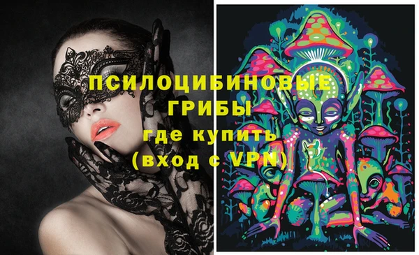 ГАЛЛЮЦИНОГЕННЫЕ ГРИБЫ Няндома
