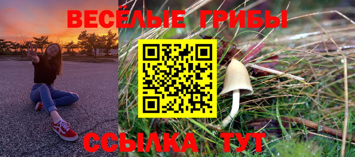 Галлюциногенные грибы мицелий  Вход с VPN  Рассказово 